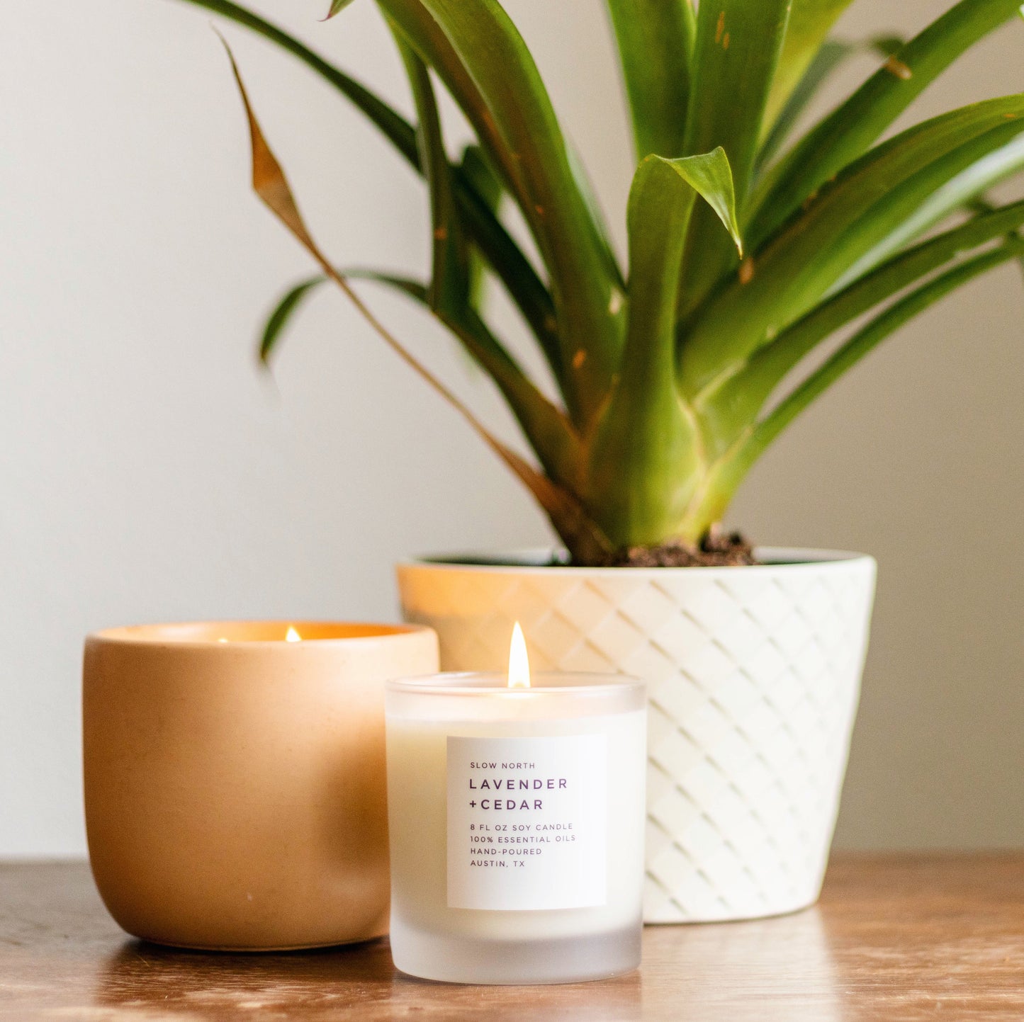 Lavendel + Zedernholz - Signature Candle