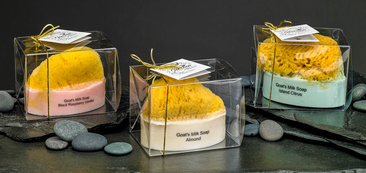 Goat's Milk Soap w/ Embedded Sea Sponge-Japanese Cherry Blossom