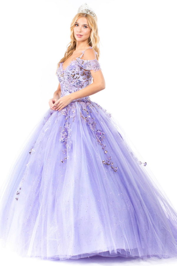 Mit Stickereien und Glitzer besetztes Mesh-Quinceañera-Kleid
