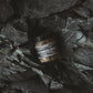 LICORICE SALT