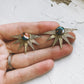 Sun Goddess Earrings with Copper Oyster Turquoise
