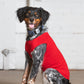 Dog Tank