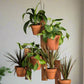 6 Pot Hanging Plant Holder - 3 piece set