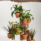6 Pot Hanging Plant Holder - 3 piece set