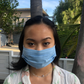 Made in LA Quilted Face Mask