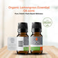 Organic Lemongrass Essential Oil (Cymbopogon Citratus) 10ml