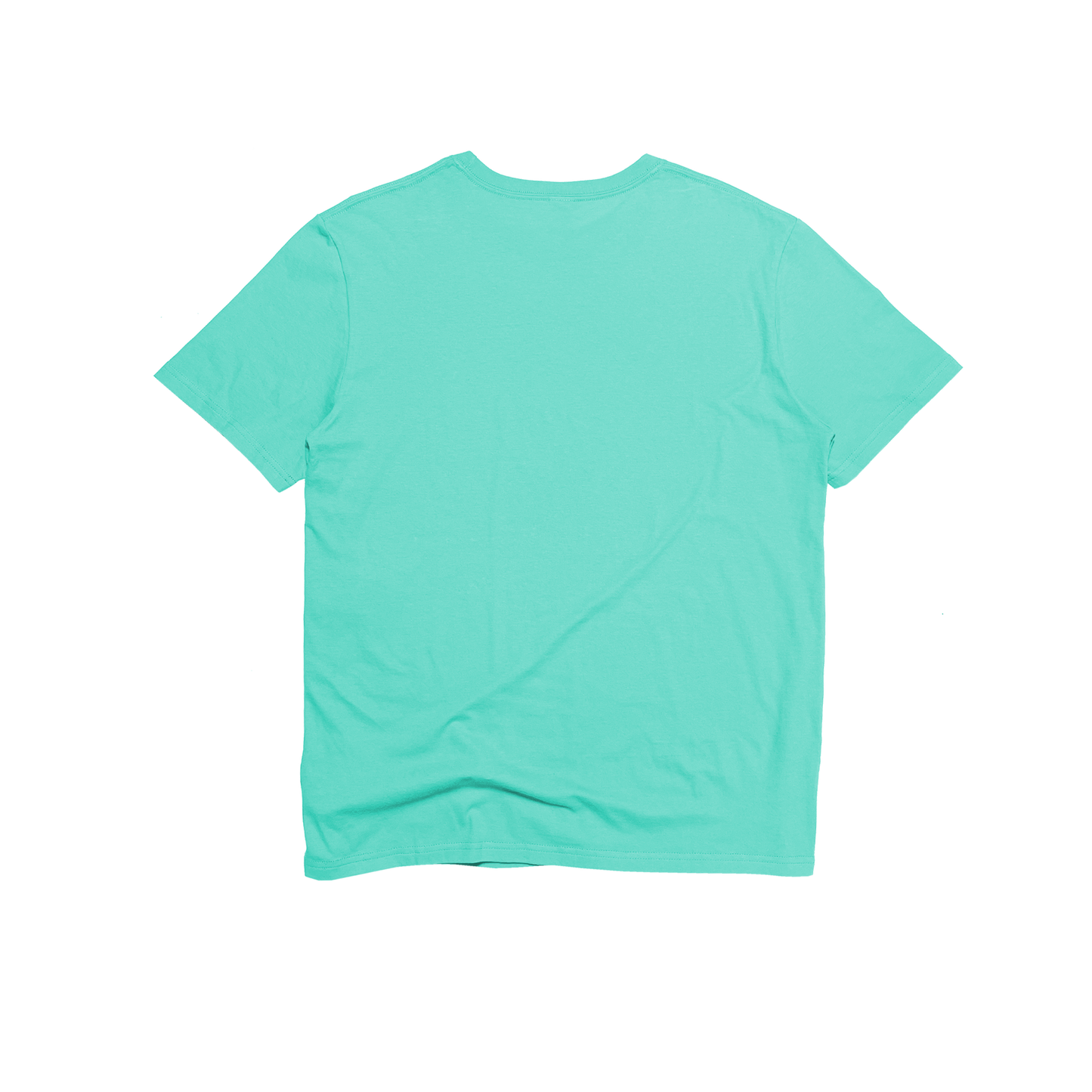 Unisex Premium Cotton Short Sleeve Tee (Fashion Colors)