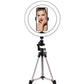 Led ring light