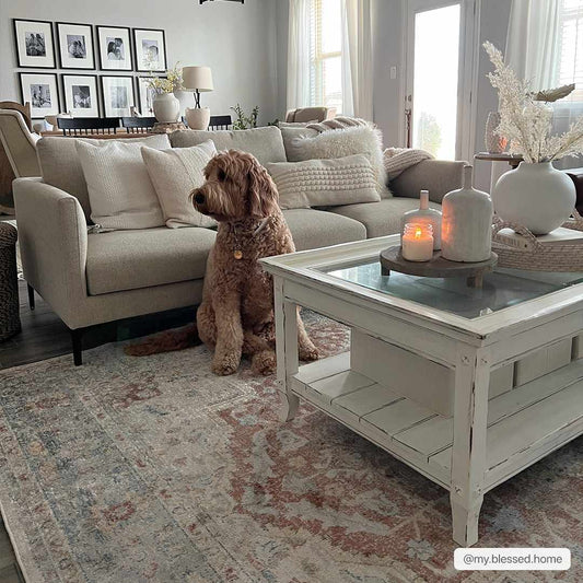 Emke Flat Pile Washable Rug