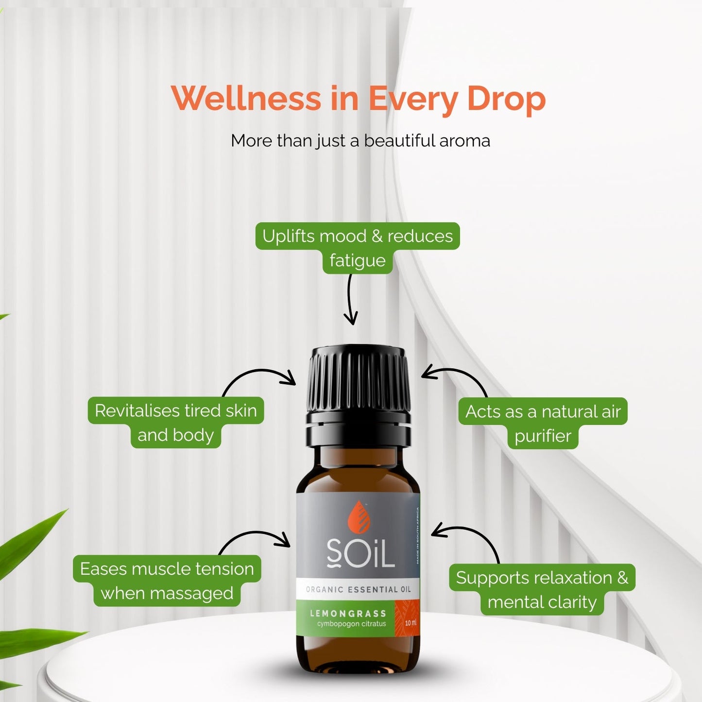 Organic Lemongrass Essential Oil (Cymbopogon Citratus) 10ml