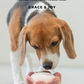 PARADISE PET TOY - Rose