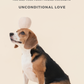PARADISE PET TOY - CUCURBITA