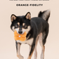 PARADISE PET TOY- Erysimum