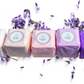 Bulk - 100 Natural Vegan Mix scents shower steamers