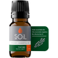 Organic Thyme Essential Oil (Thymus Vulgaris) 10ml