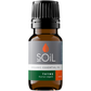 Organic Thyme Essential Oil (Thymus Vulgaris) 10ml