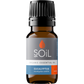 Organic Eucalyptus Essential Oil (Eucalyptus Smithii) 10ml