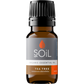 Organic Tea Tree Essential Oil (Melaleuca Alternifolia) 10ml