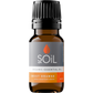 Organic Orange Essential Oil (Citrus Sinensis) 10ml