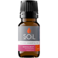 Organic Bergamot Essential Oil (Citrus Bergamia) 10ml