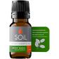 Organic Basil Essential Oil (Ocimum Basilicum) 10ml