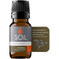 Organic Fennel Essential Oil (Foeniculum Vulgarus) 10ml