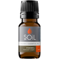 Organic Fennel Essential Oil (Foeniculum Vulgarus) 10ml