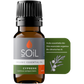 Organic Cypress Essential Oil (Cupressus Sempervirens) 10ml