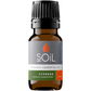 Organic Cypress Essential Oil (Cupressus Sempervirens) 10ml