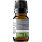 Organic Cypress Essential Oil (Cupressus Sempervirens) 10ml