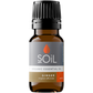 Organic Ginger Essential Oil (Zingiber Officinale) 10ml