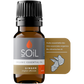 Organic Ginger Essential Oil (Zingiber Officinale) 10ml