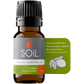 Organic Lime Essential Oil (Citrus Aurantifolia) 10ml