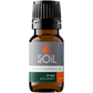 Organic Pine Essential Oil (Pinus Sylvestris) 10ml