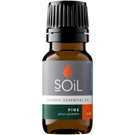 Organic Pine Essential Oil (Pinus Sylvestris) 10ml