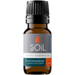 Organic Wintergreen Essential Oil (Gaulteria Procumbens) 10ml