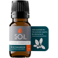 Organic Wintergreen Essential Oil (Gaulteria Procumbens) 10ml