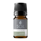 Myrrh Oil Conventional (Commiphora Myrrha) 5ml