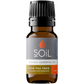 Organic Lemon Tea Tree Essential Oil (Leptospermum Petersonii) 10ml