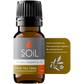 Organic Lemon Tea Tree Essential Oil (Leptospermum Petersonii) 10ml