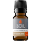 Organic Coriander Seed Essential Oil (Coriandrum Sativum) 10ml