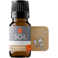 Organic Coriander Seed Essential Oil (Coriandrum Sativum) 10ml