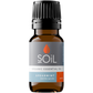 Organic Spearmint Essential Oil (Mentha Spicata) 10ml