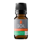 Focus - Organic Essential Oil Blend 10ml