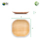 BOSNAL Palm Leaf Plates