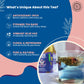 Blue Sapphire - Butterfly Pea Bliss Tea Bags