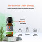 Organic Lemongrass Essential Oil (Cymbopogon Citratus) 10ml