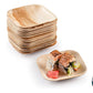 BOSNAL Palm Leaf Plates