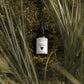 Caffeine gel - Revive & Rejuvenate - Caffeine Gel Booster