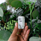 Stay Wild - Be True To You Blend Mindfulness Spray